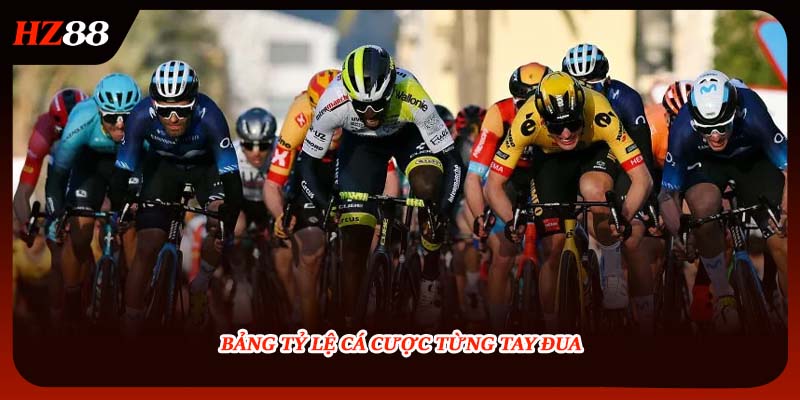 Bảng tỷ lệ cá cược từng tay đua.