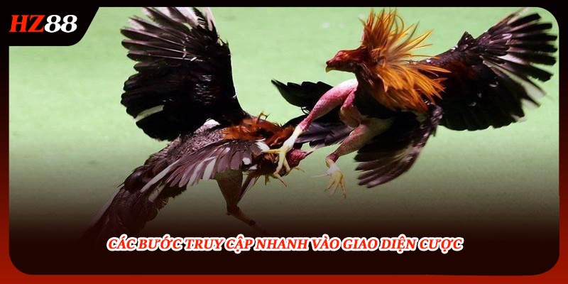 Các bước truy cập nhanh vào giao diện cược