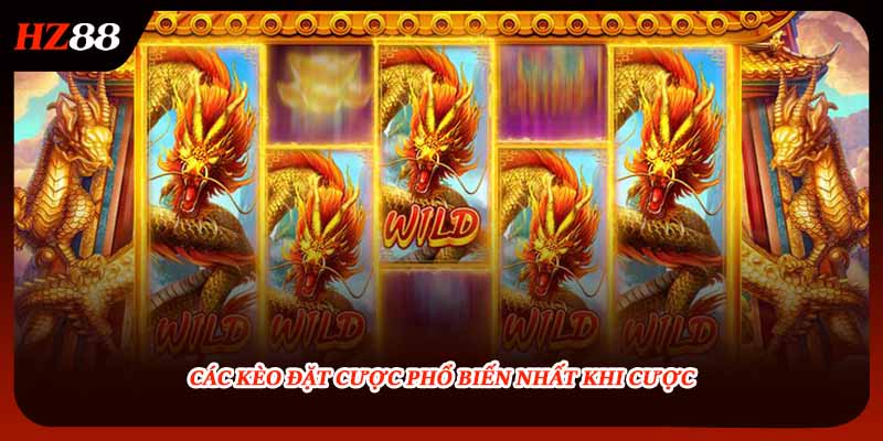 Các kèo đặt cược phổ biến nhất khi cược