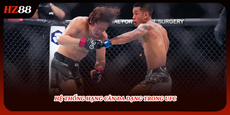 Hệ thống hạng cân đa dạng trong UFC