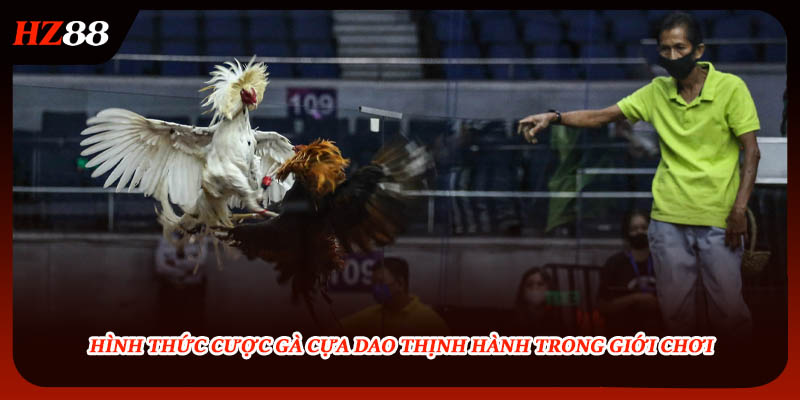 Hình thức cược gà cựa dao thịnh hành trong giới chơi