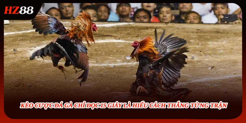 Kèo Cược Đá Gà Chỉ Đọc 15 Giây Là Hiểu Cách Thắng Từng Trận